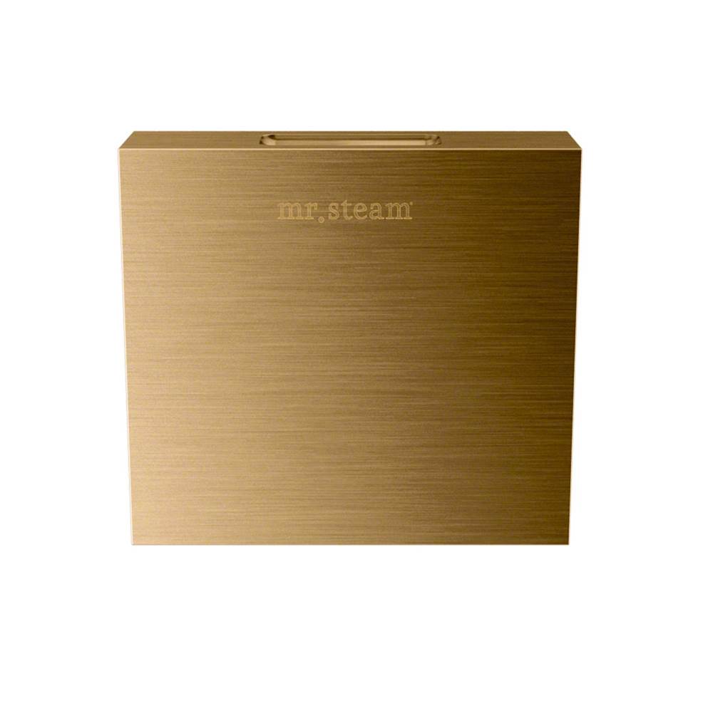 Mr. Steam Aroma Designer 3 in. W. Steamhead with AromaTherapy Reservoir in Square Brushed Bronze