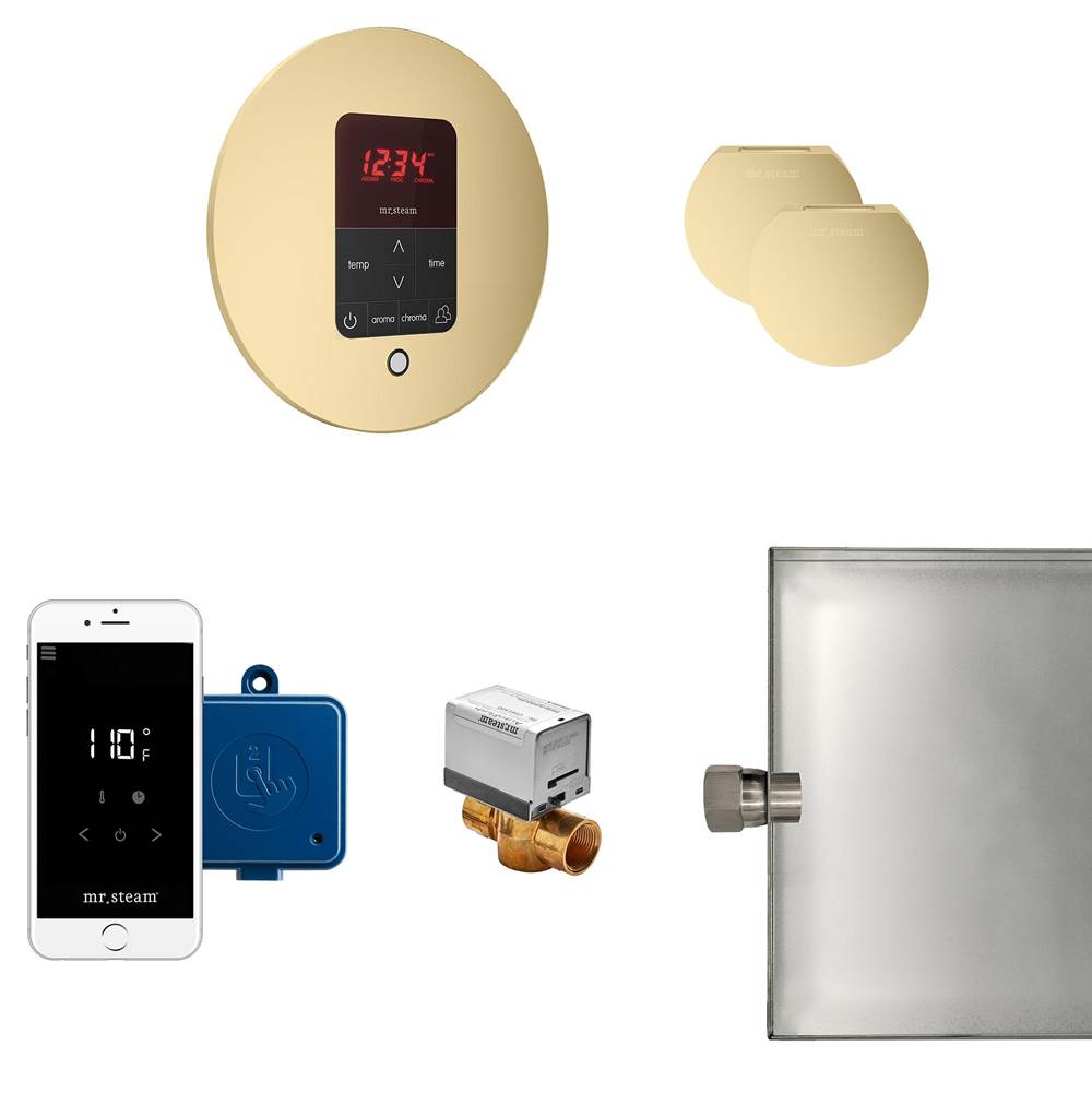 Mr. Steam Butler Max Steam Shower Control Package with iTempoPlus Control and Aroma Designer SteamHead in Round Satin Brass