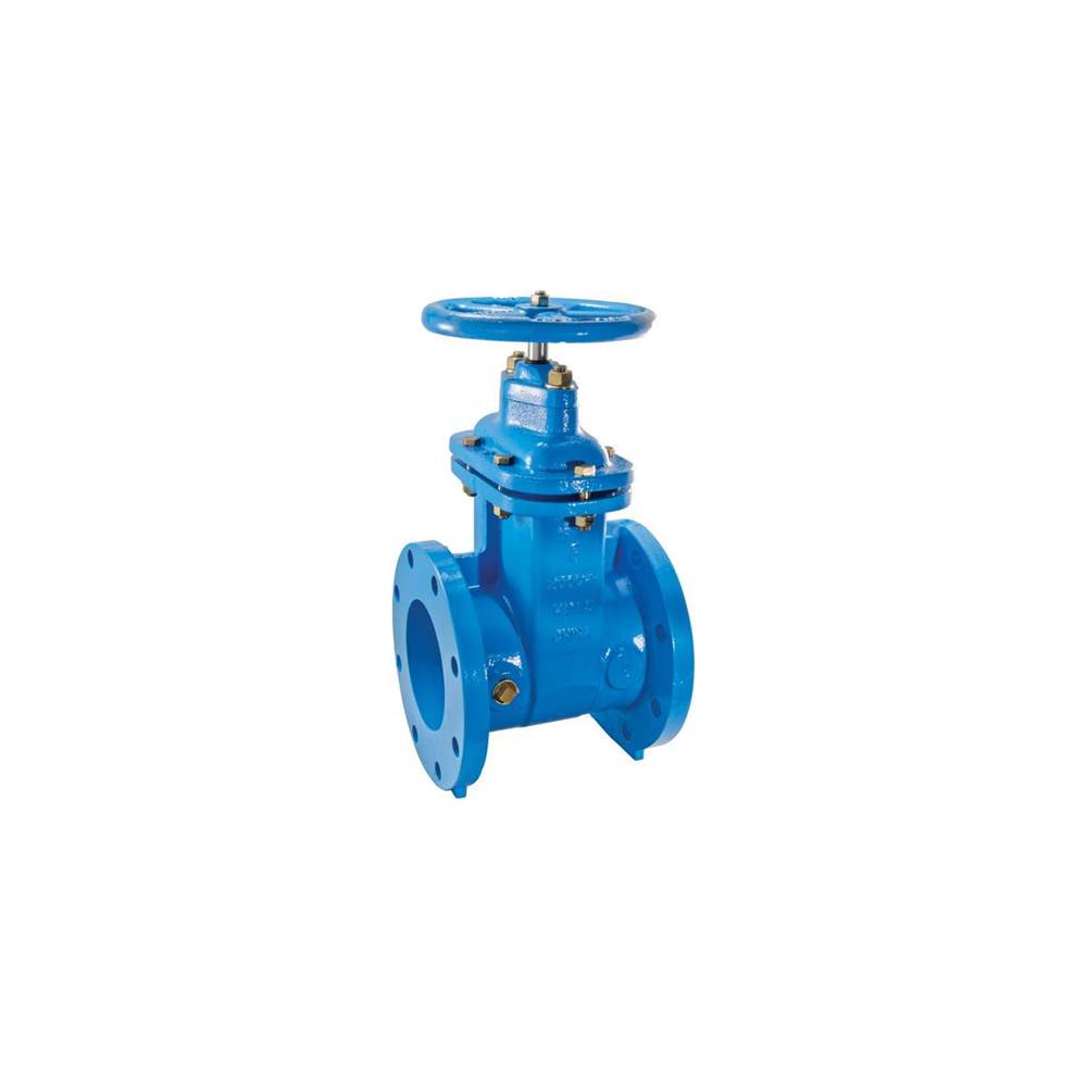 Watts 2 In Resilient Wedge Gate Valve