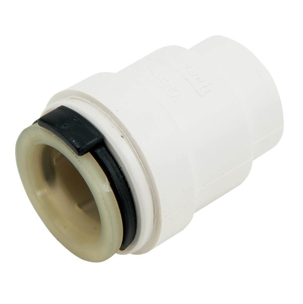 Watts 1 IN CTS Plastic End Cap